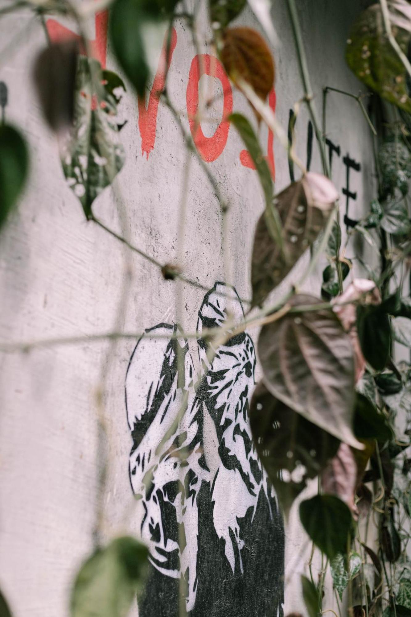 Sela Stay Yogyakarta Exteriér fotografie